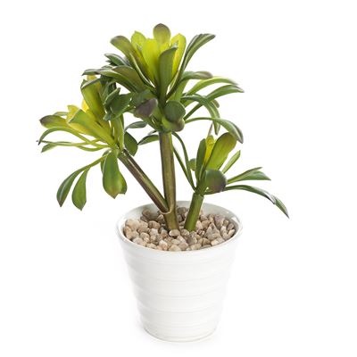 Cactus Succulent Realistic Artificial Plant In White Pot 18cm